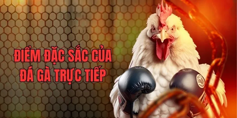 Điểm đặc sắc tạo nên sức hút danh mục chọi kê