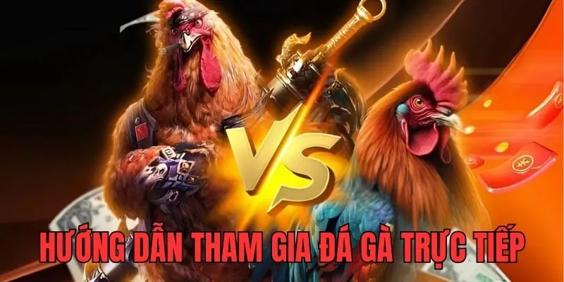 Hướng dẫn các bước tham gia đặt cược đơn giản, dễ dàng