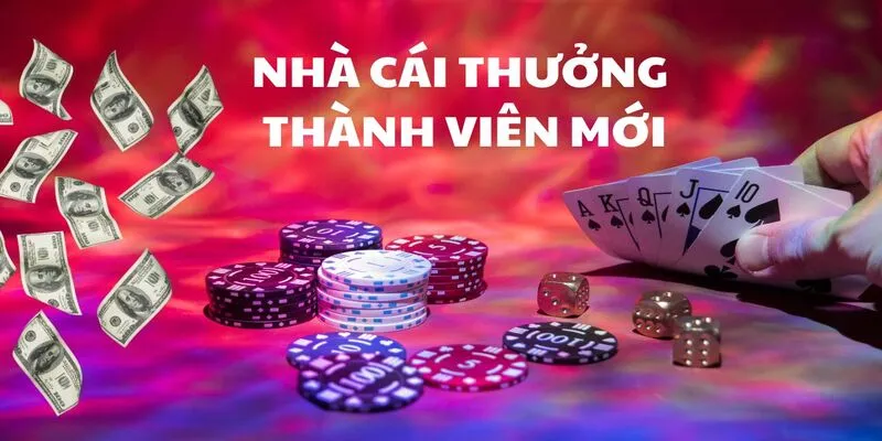 Chúng tôi tặng bạn nhiều cơ hội thưởng lớn